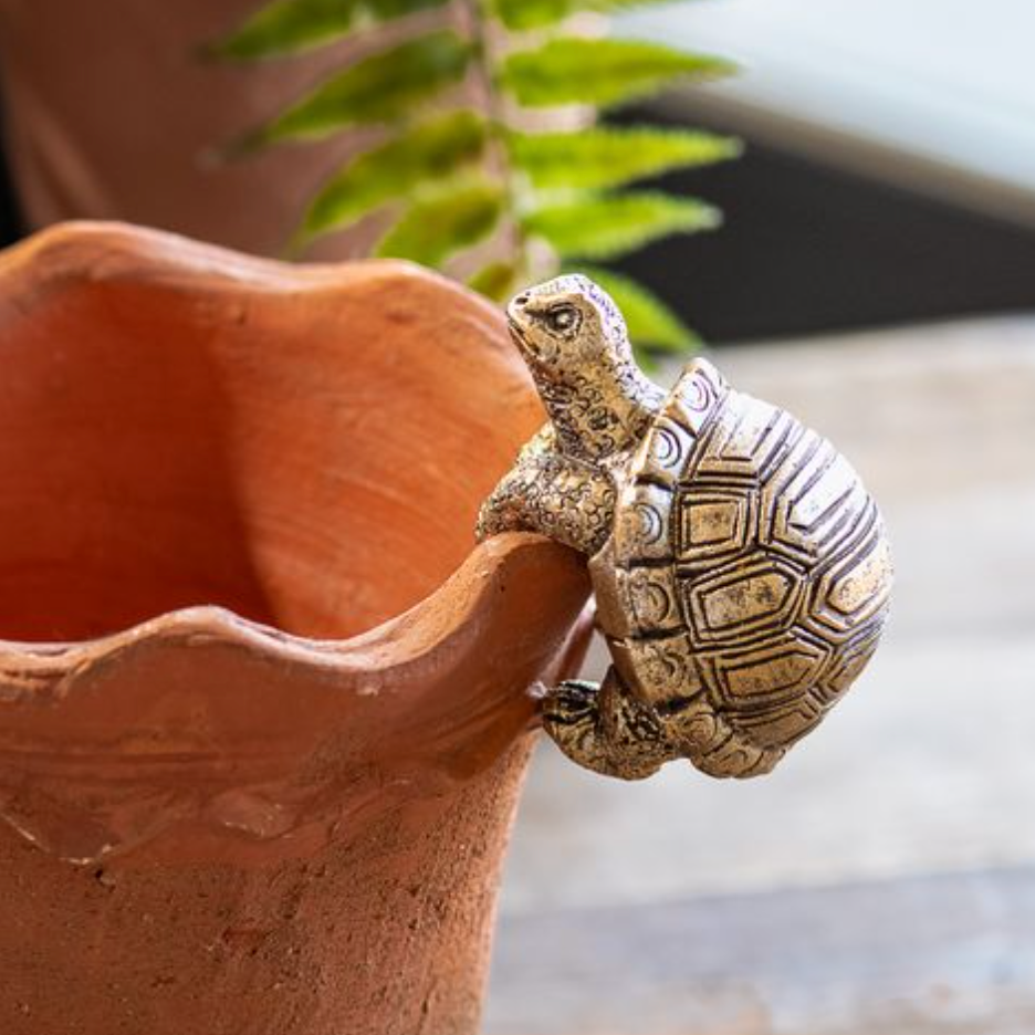 Turtle Pot Hanger