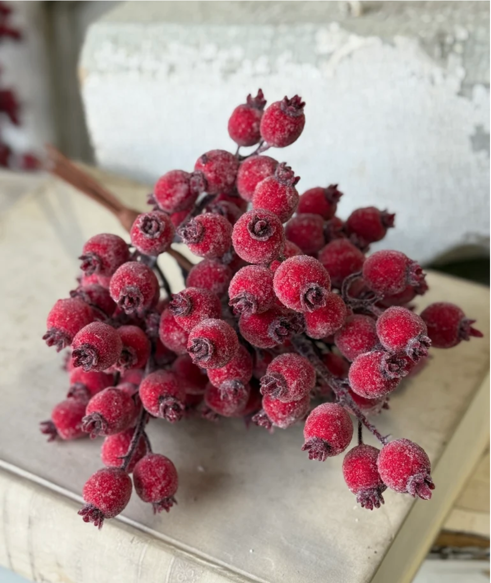 Iced Everberry Bundle