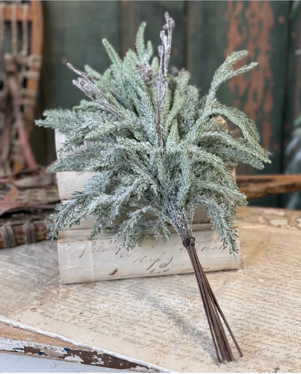 Snowdrift Norfolk Pine Bundle
