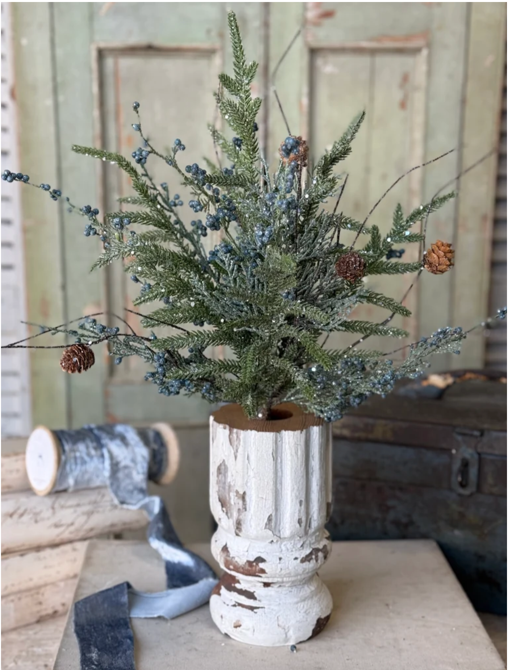 Bluehaven Cedar Bush