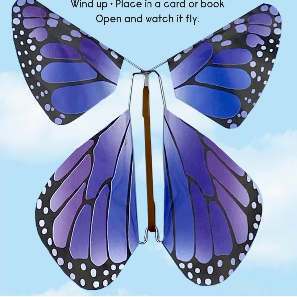 Magic Butterfly