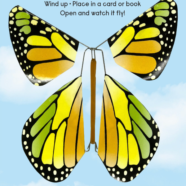 Magic Butterfly