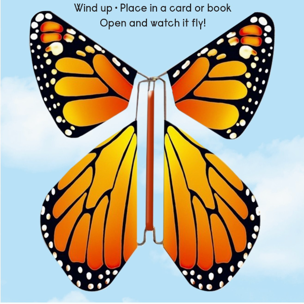 Magic Butterfly