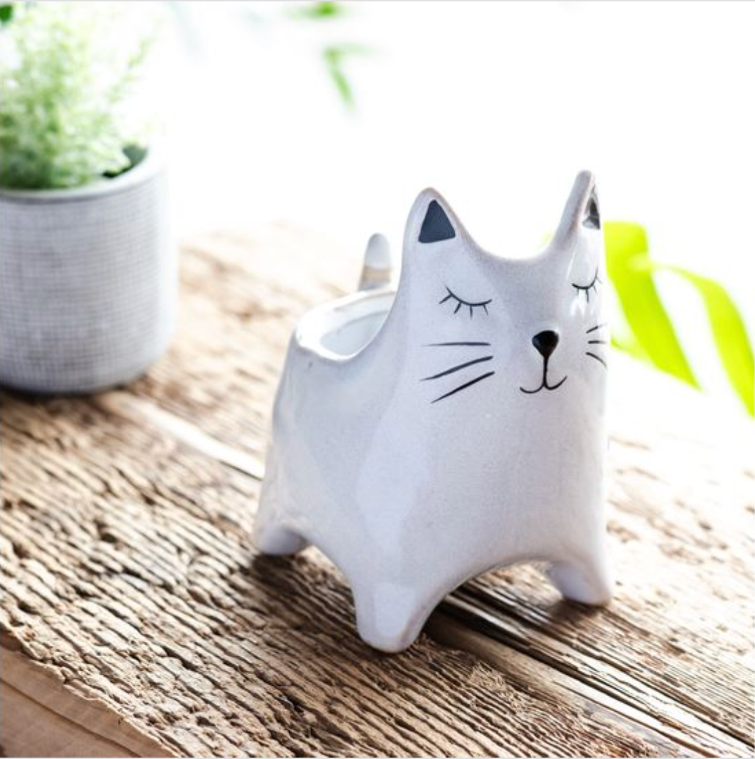 Cat Planter