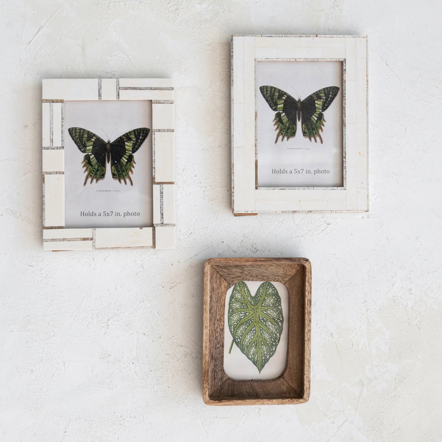 Resin Photo Frame w/ Horn Inlay, Ivory Color, 2 Styles