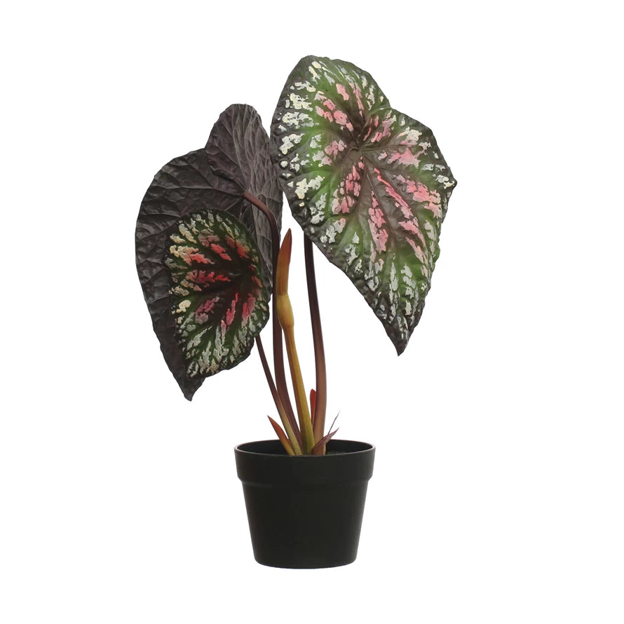 Faux Begonia Plant in Plastic Pot & Black